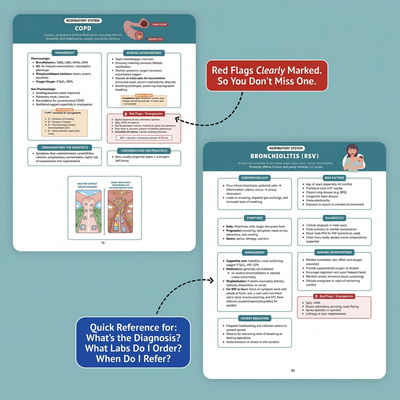The Essential Nurse Practitioner Guide